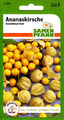 Ananaskirsche Goldmurmel - zuckersüße goldgelbe Früchte - Physalis Samen Saatgut