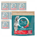 Purina One Bifensis Sterilcat 8x1,5kg Trockenfutter für Katzen mit Rind