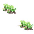  2 Count Fischtankdekoration Künstliche Aquarium Pflanzen Für Aquarien
