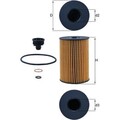 Knecht OX 353 7D Ölfilter für BMW 5 6 7 8 X5 X6 X7 F12 F13 F06 F10 G30 F90