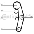 CONTINENTAL CTAM Zahnriemensatz für AUDI FORD SEAT VW