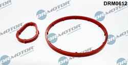 DR.MOTOR DICHTUNGSSATZ UNTERDRUCKPUMPE passend für CITROËN C2 C3 XSARA FORD FIES