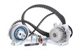 INA 530 0445 31 Wasserpumpe + Zahnriemensatz für VW Golf V Schrägheck (1K1)