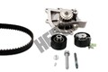 Wasserpumpe + Zahnriemen Satz für Fiat Ford Peugeot Citroen Hepu Pk08070 2006->