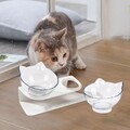 Haustier Dual Futternapf Fressnapf Katzennapf schräge mit Erhöhter Ständer DHL
