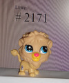 LPS Littlest Pet Shop Löwe #2171 Figur Hasbro
