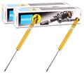 2X BILSTEIN GASDRUCK STOßDÄMPFER HINTEN PASSEND FÜR FORD FIESTA MAZDA 2