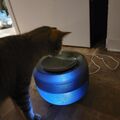2.5L Haustier Trinkbrunnen Katzen Hunde Automatisch Wasserspender mit LED Licht