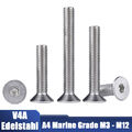 Senkkopfschrauben Edelstahl A4 V4A DIN 7991 Innensechskant M3M4 M5 M6 M8 M10 M12
