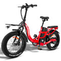 FAFREES 20 Zoll Fatbike Elektrofahrrad Klapprad e Bike 750W E-City Bike 30AH 48V