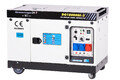 Stromgenerator 16kVA Stromerzeuger Silent Dieselgenerator 230/400V E-Start 02871