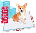 Trainingsunterlagen Welpenunterlagen Puppy Pads Welpentoilette 60x90cm Pee Hunde