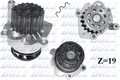 DOLZ A249 Wasserpumpe, Motorkühlung für Vw Ford Skoda Audi Seat
