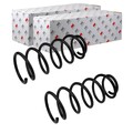 2X NK FAHRWERKSFEDER FEDERN HINTEN LINKS+RECHTS passend für SKODA OCTAVIA VW GOL