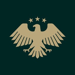 Syrien Adler Aufkleber Syrian Eagle Car Sticker Auto 30 x 30cm شعار سورياHOT 🔥