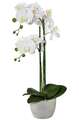 Kunstblume PHALENOPSIS. Künstliche Orchidee ca 58cm weiß WEISS. im ZEMENTTOPF