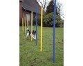 Agility Slalom