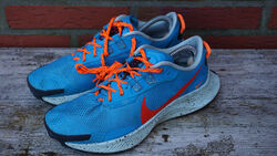 Nike Pegasus Trail 3 Herren Trailrunningschuh EU 42 blau / orange