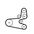 Continental Ctam 6Pk1560K1 Keilrippenriemen Rippenriemen Satz für Peugeot