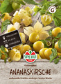 Ananaskirsche 'Goldmurmel' - Physalis pruinosa, kübelgeeignet, Samen 80642