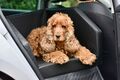 Rücksitz Autobett mit Gurt Autohundebett Orthopädisch Hundebett Autoschondecke