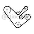 Keilrippenriemensatz Continental CTAM 6PK1555K4 für VW