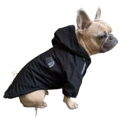 Winter Haustier Hund wasserdicht warm Mantel Kapuzenjacke Haustier Kleidung