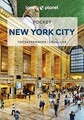 Lonely Planet Pocket New York City 9 (Pocket Guide)... | Buch | Zustand sehr gut