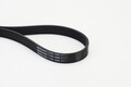 CONTINENTAL CTAM Keilrippenriemen 7PK1605 für BMW LAND ROVER MAZDA RENAULT
