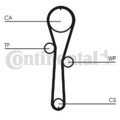 CONTINENTAL CTAM (CT1045WP1) Wasserpumpe+Zahnriemensatz für NISSAN RENAULT