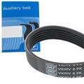 SKF KEILRIPPENRIEMEN VKMV 6PK1255 passend für FIAT BRAVO STILO FORD TRANSIT