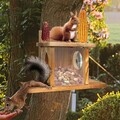 Eichhörnchen wetterfest Futterhaus Futterkasten Holz Futterstation Nussspender*