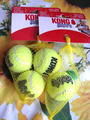 Kong Hundespielzeug 4 gelbe Bälle mit Quietscher neu