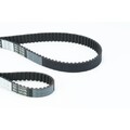 1x Zahnriemen CONTINENTAL CTAM CT957(SET) passend für AUDI SEAT SKODA VW