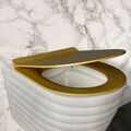 WC Sitz mit Absenkautomatik Duroplast Deckel Klobrille Weiß Schwarz Grau Gold