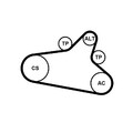 CONTINENTAL CTAM Keilrippenriemensatz  u.a. für CITROËN, PEUGEOT