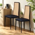 Rattanstuhl 2er Set Esszimmerstühle Küchenstuhl Esstischstühle Wohnzimmerstuhl