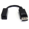 StarTech DisplayPort auf Mini DisplayPort Adapter Grafikkarte Monitor Stecker