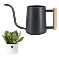 Pflanzen Gießkanne 1L Indoor-Gießkanne Edelstahl Giesskanne Mit Langem Auslauf