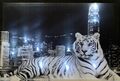 LED Bild Bilderrahmen 65 cm x 45 cm Leuchtbild Samarkand-Lights Tiger City