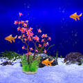  Künstliche Wasserpflanzen Dekorationspflanzen Für Aquarien Aquariumdekor