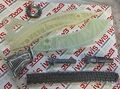 Original Iwis Steuerkettensatz Kettenspanner Gleitschiene BMW 1er 3er MINI R56