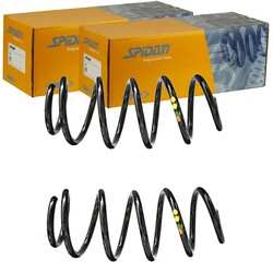 2X SPIDAN FAHRWERKSFEDERN SATZ VORNE PASSEND FÜR SKODA SUPERB VW CC PASSAT