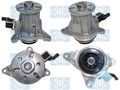 Saleri SIL PA1779V Wasserpumpe, Motorkühlung für JAGUAR LAND ROVER