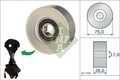 Schaeffler INA 532 0676 10 Umlenk-/Führungsrolle, Keilrippenriemen für BMW DS Ri