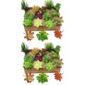  2 Count Mini Künstliche Pflanzen Kleine Sukkulenten -Sukkulenten