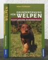 Anton Fichtlmeier – Grunderziehung für Welpen.   Fichtlmeiers Hundeschule