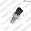 CALORSTAT by Vernet WS2502 Sensor für Kühlmitteltemperatur Sensor 
