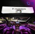 HighEnd Ambiente Beleuchtung 4-Zonen•AmbiCore•App•Individuell für Alle Fahrzeuge