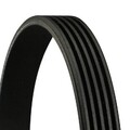 Keilrippenriemen Rippenriemen für Fiat Peugeot Continental Ctam 5Pk1219 2000 ->
